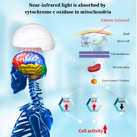 دستگاه فیزیوتراپی بهداشتی 850 نانومتر کلاه ایمنی NIR مادون قرمز درمان نور